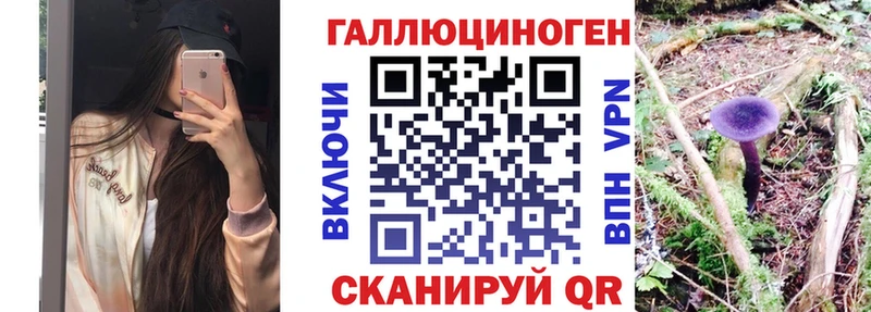 Галлюциногенные грибы Cubensis  Кимовск 